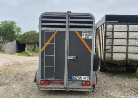 Reboque para Transporte de Animais Vivos e Ovinos – Eixo Duplo