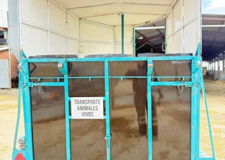 Reboque Van para 2 Cavalos Reforçado com Travão de Inércia
